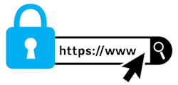 nov domain